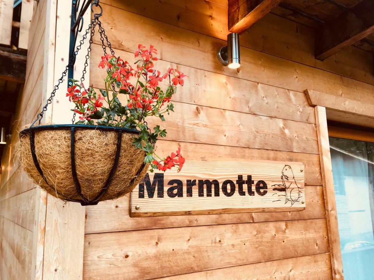Chalet Marmotte 2 Morzine Eksteriør billede